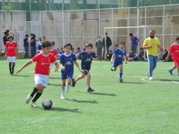 MIS Sports